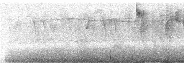 Щетинкохвіст перлистий - ML243772