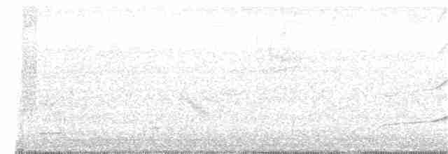 Swallow-tailed Kite - ML243774021