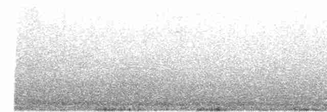 Common Yellowthroat - ML243776411