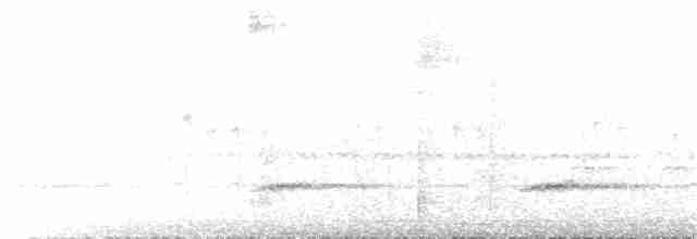 Каштановый скрытохвост - ML243796151