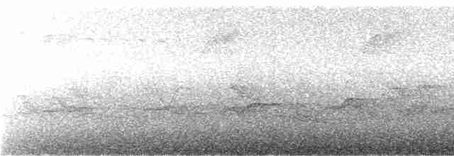 Kadife Karınlı Dağ Kolibrisi - ML243801