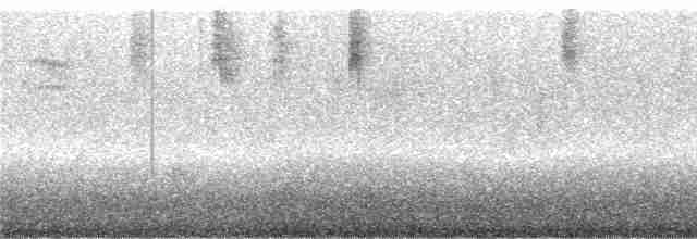 fløyelsbrystkolibri - ML243805