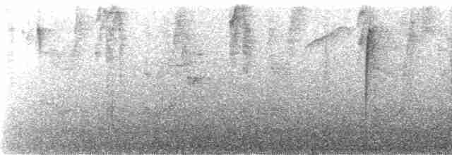 gråhettetanagar (rubrirostris) - ML243809