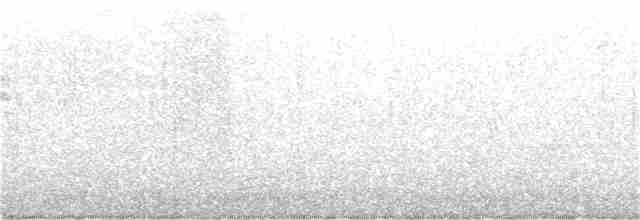 Дрізд-короткодзьоб плямистоволий - ML243829581
