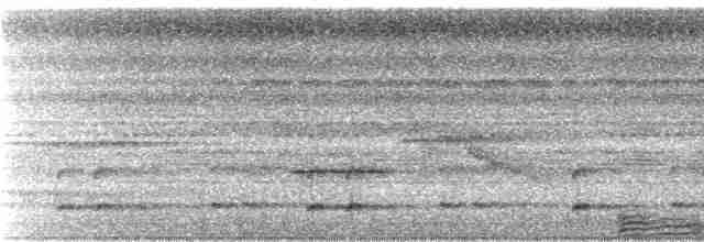 Zigzag Heron - ML243853