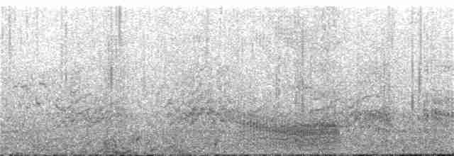 クロアジサシ - ML243853011