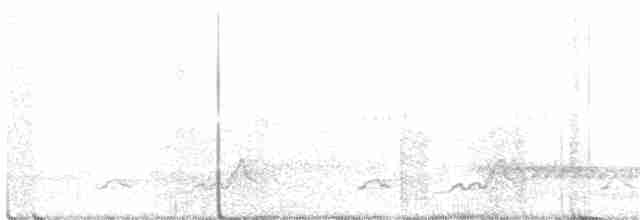 Schwarzkehl-Nachtschwalbe - ML243885691