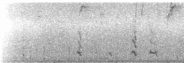 Амазон-карлик червонолобий - ML243886
