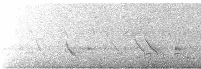 Танагра-короткодзьоб чорновола - ML243890