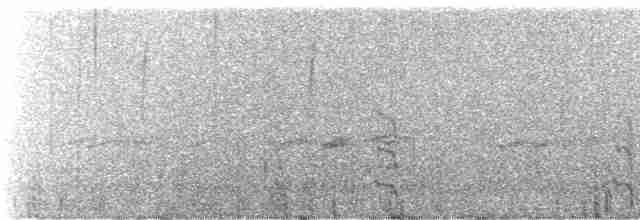 Амазон-карлик червонолобий - ML243892