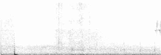 Kara Gözlü Junko (cismontanus) - ML243901981