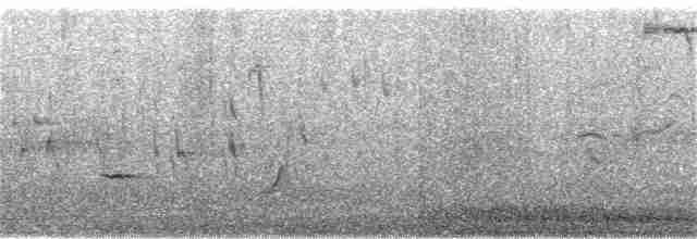grånakkefjellfink (tephrocotis gr.) - ML243960111