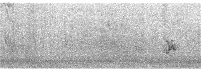 pěnkavice šedohlavá (ssp. littoralis) - ML243960121