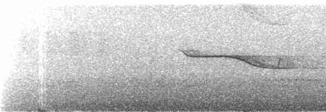 Band-winged Nightjar (Rufous-naped) - ML243963