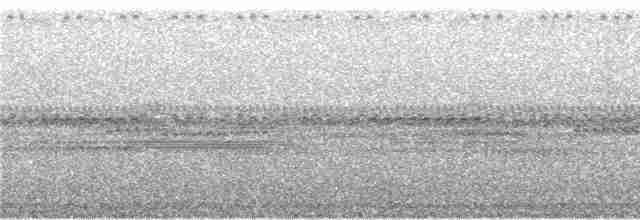 Gözlüklü Baykuş - ML243994