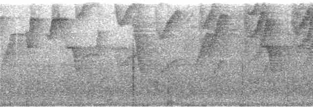 Ерміт-серподзьоб темнохвостий - ML244008