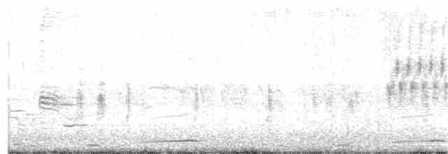 Пестроклювая поганка - ML244036481