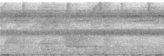 skjeggmaursmett (obscura) - ML244041