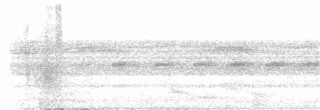 Pauraquenachtschwalbe - ML244041281