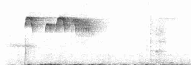 Тиран-крихітка чорноголовий - ML244046701