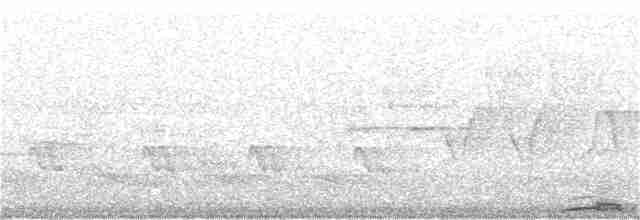 Eurasian Collared-Dove - ML244047771