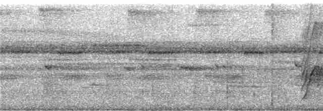 Серогрудый гусеницеед - ML244058