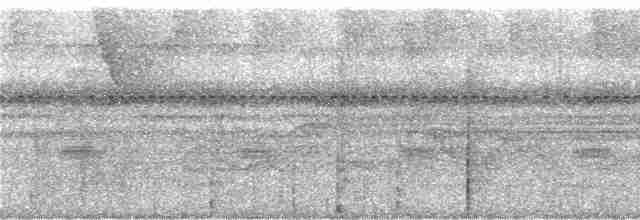skjeggmaursmett (obscura) - ML244090