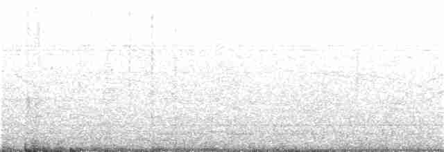 White-throated Kingfisher - ML244094571