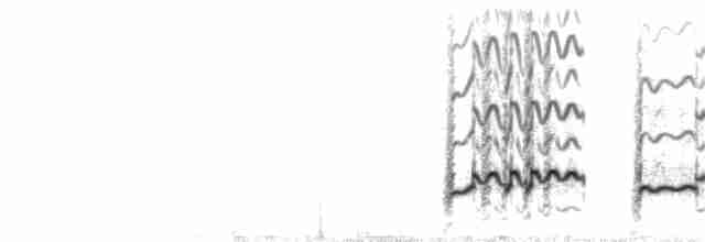 Uzun Gagalı Kervançulluğu - ML244100111