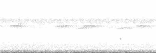 Белогорлая веерохвостка - ML244112091