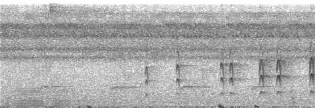 Сероголовый бентеви - ML244140