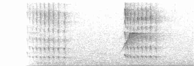 Тиран-інка буроголовий - ML244146091