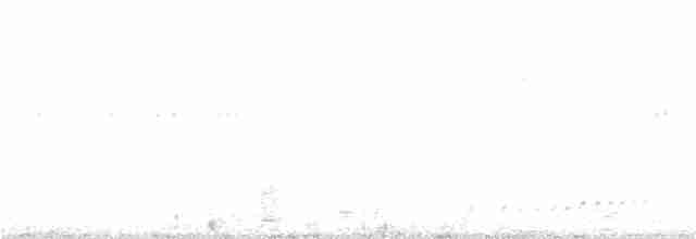 Прерийный кроншнеп - ML244160041