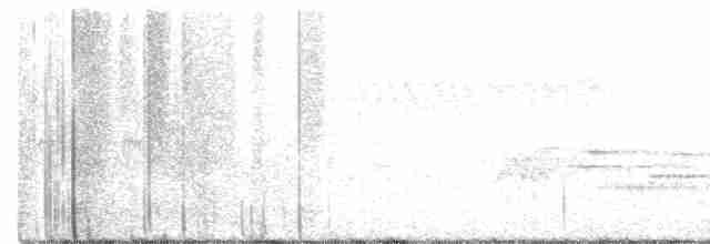 Paruline vermivore - ML244168611