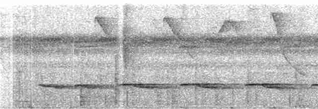 Черногорлый колибри-отшельник - ML244176