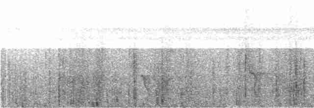 Gelbbrust-Ameisenfänger - ML244184