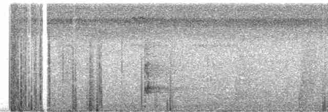 Todirostre zostérops - ML244189