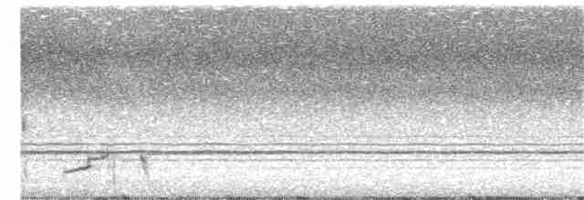 Морщинистоклювая ани - ML244190041