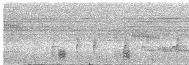 Rio de Janeiro Antbird - ML244204131