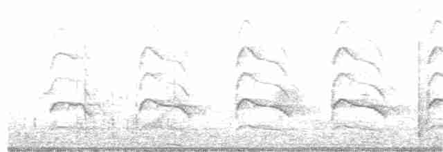 Rotschulterbussard (elegans) - ML244230301