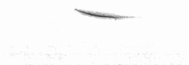 Hermit Thrush (faxoni/crymophilus) - ML244251811
