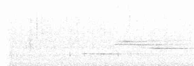 Hermit Thrush (faxoni/crymophilus) - ML244252471
