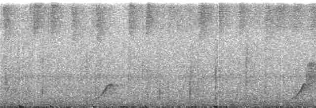 Swallow-tailed Nightjar - ML244267