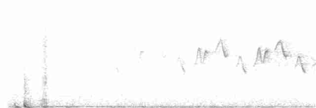 Kentucky Warbler - ML244304561