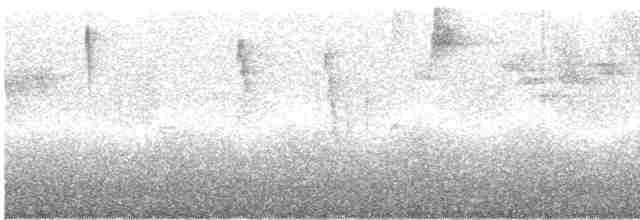 gråhettetanagar (rubrirostris) - ML244305