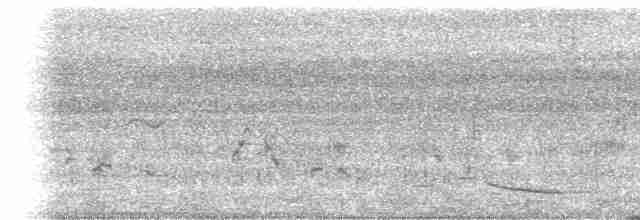 Malabar Whistling-Thrush - ML244305001