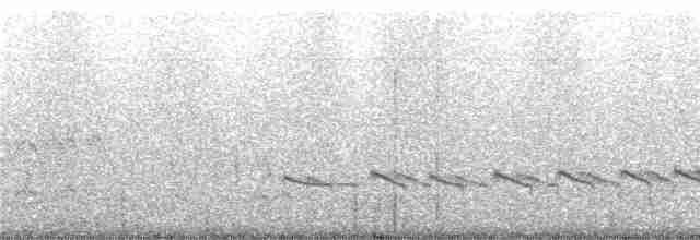 Pluvier petit-gravelot (curonicus) - ML244321
