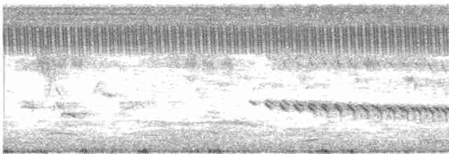 Красноносый зимородок - ML244325271