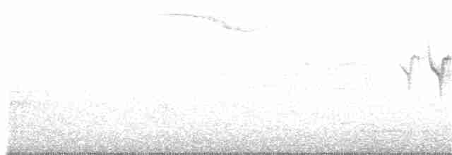 Yellow-rumped Warbler - ML244351181