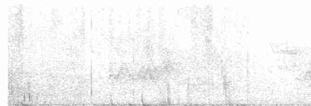 Cerulean Warbler - ML244382401